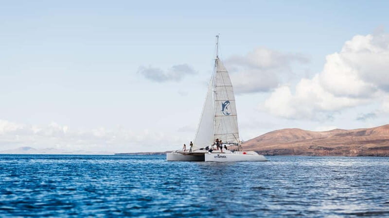 Lanzarote Sunset Experience with dolphin spotting - The Experience in Detail