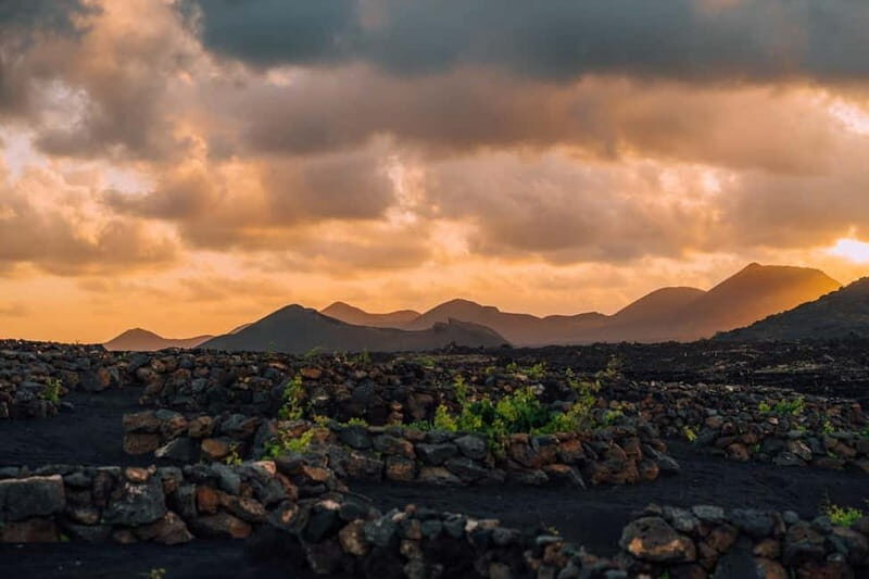 Lanzarote: Sunset vineyard tour with wine and chocolate tasting - An In-Depth Look at the Lanzarote Sunset Vineyard Experience