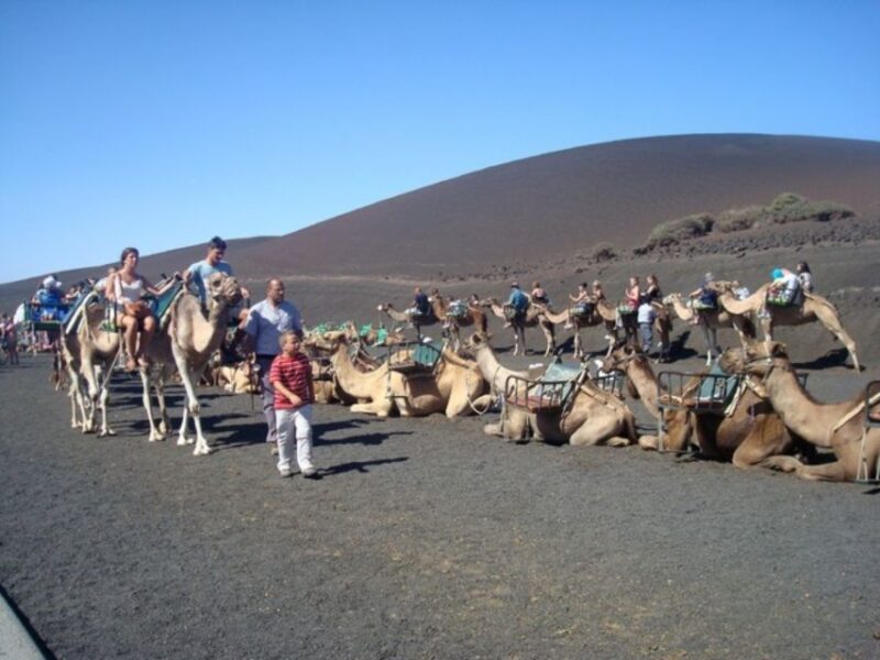 Lanzarote: Timanfaya National Park Tour - A Deep Dive into Lanzarote’s Volcanic Marvels