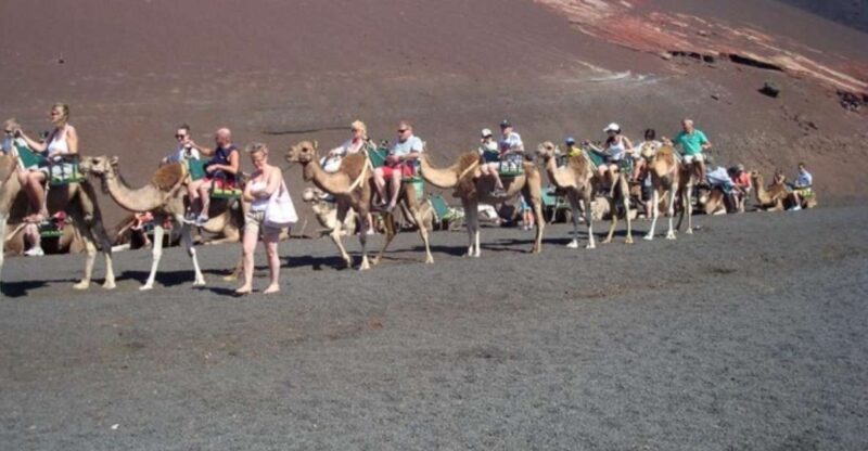 Lanzarote: Timanfaya National Park Tour - Practical Details: What You Need to Know