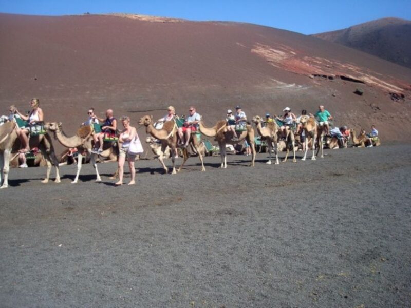 Lanzarote: Timanfaya National Park Tour - FAQ