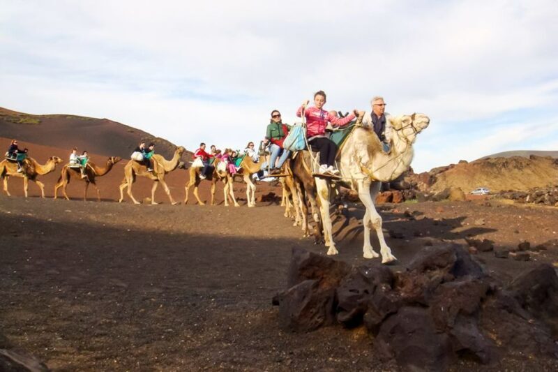 Lanzarote: Timanfaya Park and Jameos del Agua Full-Day Tour - Key Points