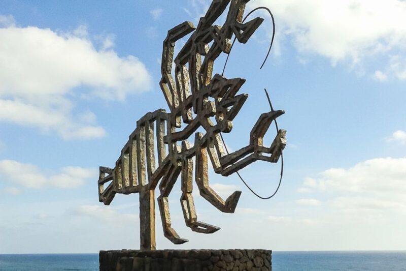 Lanzarote: Timanfaya Park and Jameos del Agua Full-Day Tour - What’s the Real Value Here?