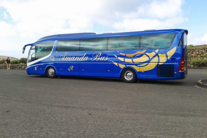 Lanzarote: Timanfaya Park and Jameos del Agua Full-Day Tour - Final Thoughts: Who Will Love This Tour?