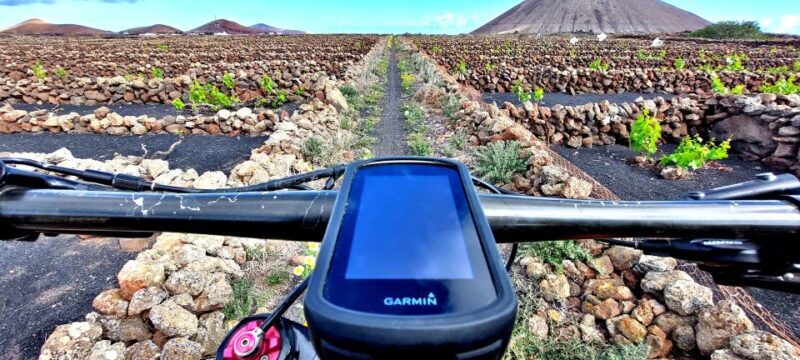 Lanzarote: Timanfaya Volcanic Natural Park E-Bike Tour - The Sum Up