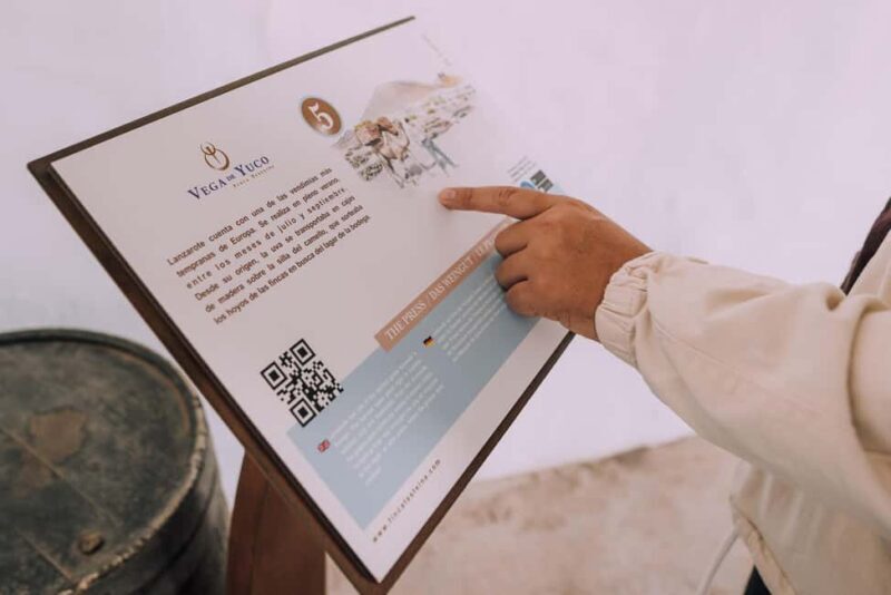 Lanzarote: Vineyard Tour & Wine Tasting with Cheese - Who Should Consider This Tour?