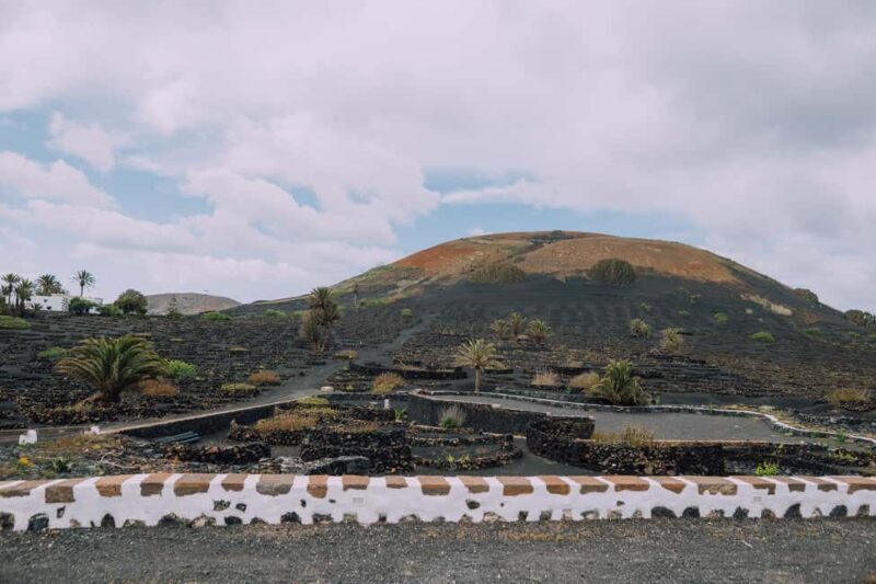 Lanzarote: Vineyard Tour & Wine Tasting with Cheese - The Sum Up