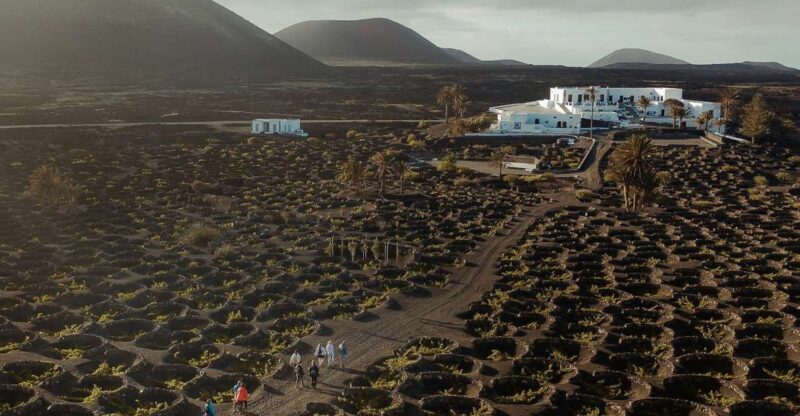 Lanzarote: Vineyard Tour with Wine and Chocolate Tasting - Key Points