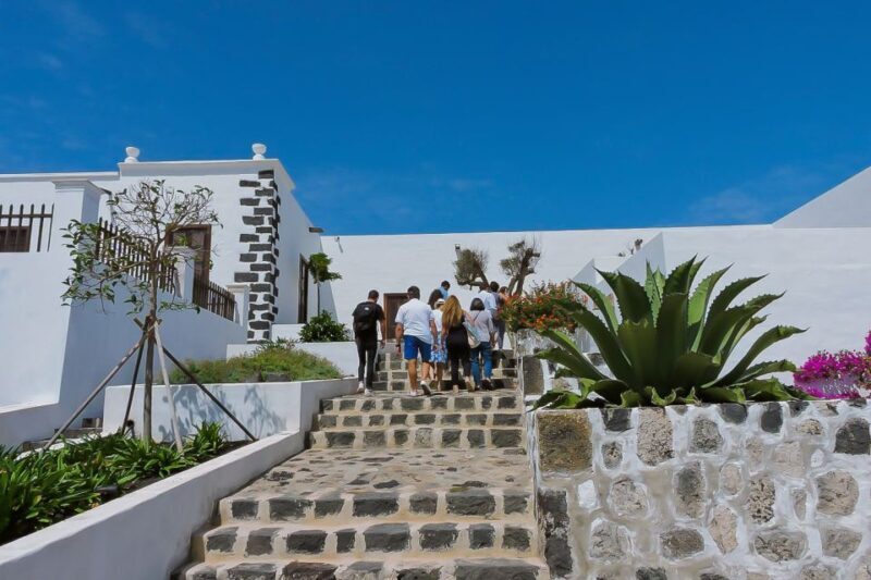 Lanzarote: Vineyard Tour with Wine and Chocolate Tasting - A Detailed Look at the Lanzarote Vineyard Tour