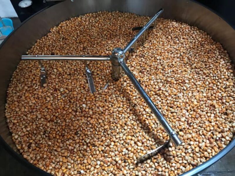 Lanzarote: Visit a traditional mill and taste our gofio. - Who should consider this tour?