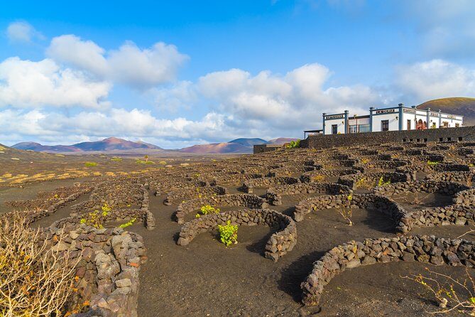 Lanzarote Volcano and Wine Region Tour from Fuerteventura - Key Points