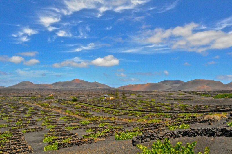 Lanzarote: Volcanos of Timanfaya and Caves Tour with Lunch - Authentic Experiences Drawn from Reviews