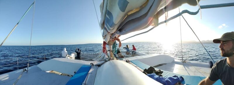 Lanzarote: Whale and Dolphin Watching Eco-Friendly Catamaran - Final Thoughts: Who Will Love This Tour?