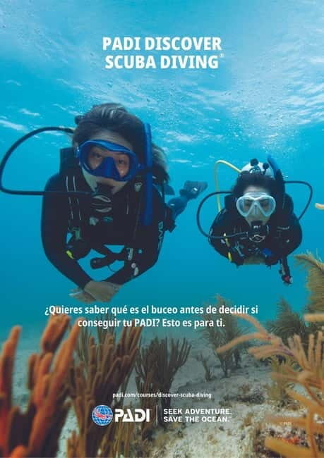 Lanzarote Your First Scuba Diving Experience - A Complete Breakdown of Your Underwater Adventure
