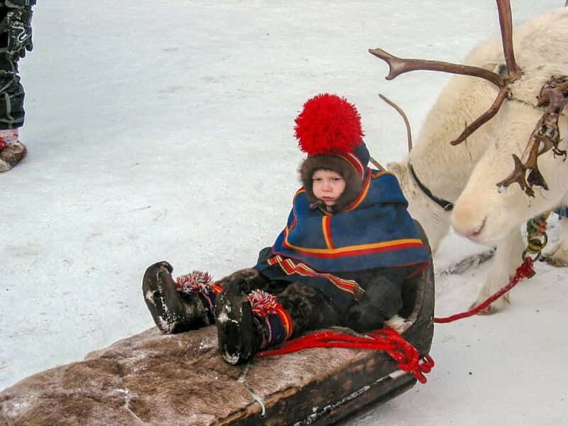 Lapland: A day on the trail of the Sami indigenous people - Key Points