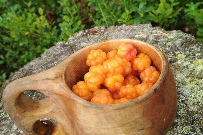 Lapland Berry Day Experience - An In-Depth Look at the Lapland Berry Day Experience