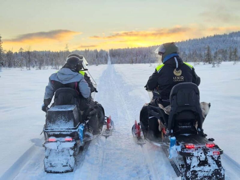 Lapland: Exclusive Private 7h Snowmobile Tour with Guide - Who Will Love This Experience?