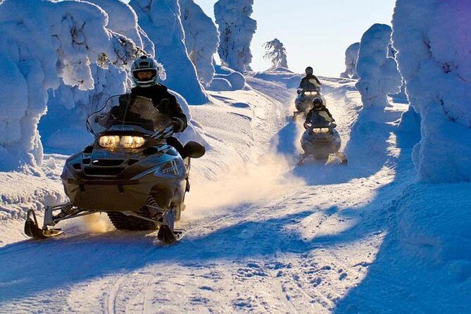 Lapland Family Snowmobile Safari from Levi - FAQ