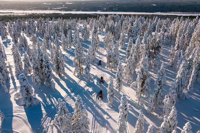 Lapland Family Snowmobile Safari from Rovaniemi - What This Tour Means for You