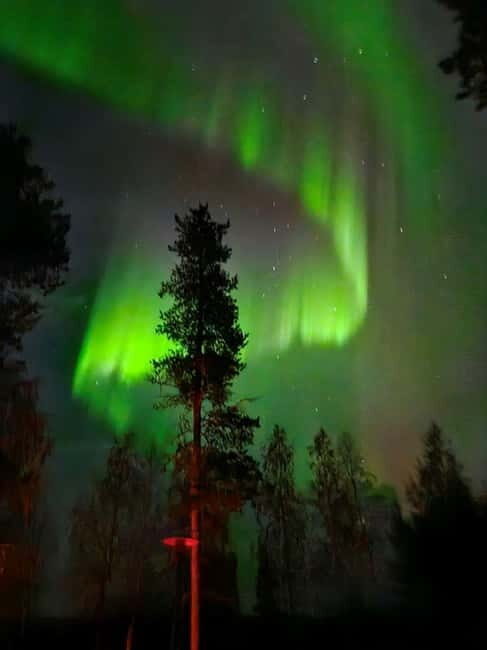 Lapland: Guided Hiking Tour in the Pristine Nature in Luosto - Final Thoughts: Who Will Love This Tour?