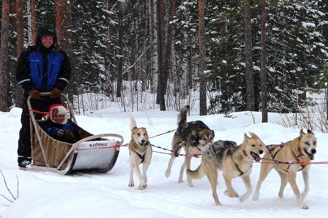 Lapland Husky Safari from Saariselkä - Frequently Asked Questions