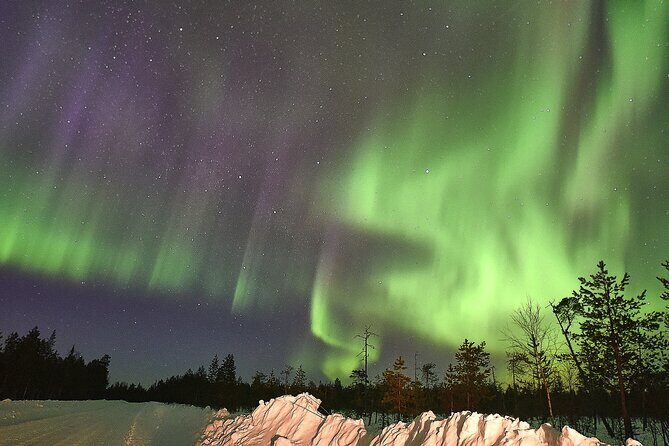 Lapland In A Day - Reindeer, Sledding, Snowmobile & Nature - FAQs