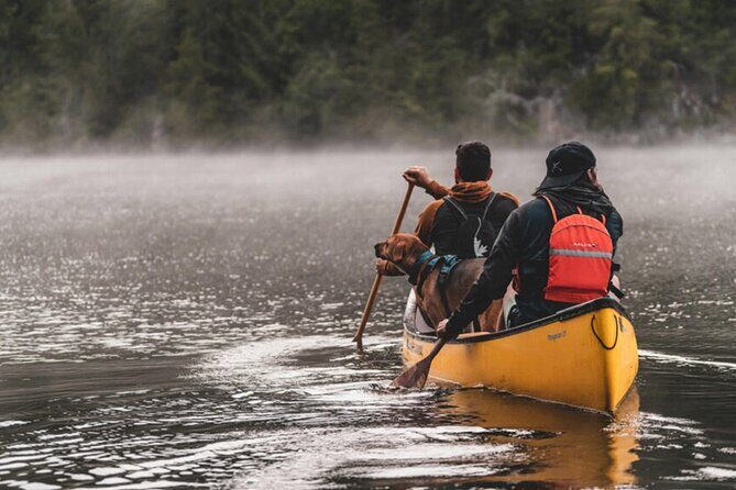 Lapland Kayak Adventure in Rovaniemi - Frequently Asked Questions