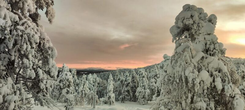 Lapland: Private Snowmobile Safari with arctic Local Guide - Key Points