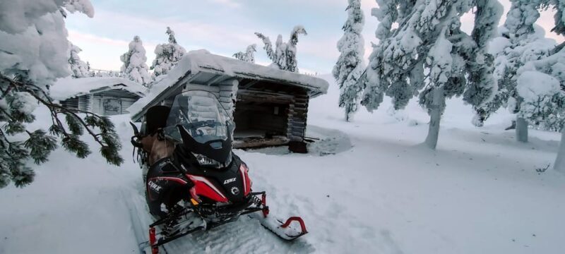 Lapland: Private Snowmobile Safari with arctic Local Guide - A Detailed Look at the Snowmobile Safari Experience