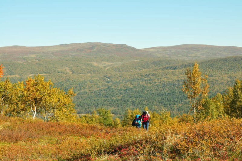 Lapland: Three day trekking in the Swedish Highlands - FAQ