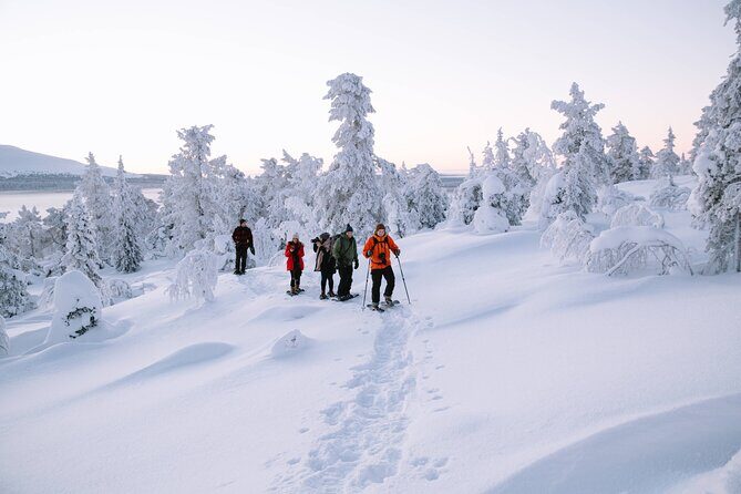 Lapland Winter Experience - In-Depth Review of the Lapland Winter Experience