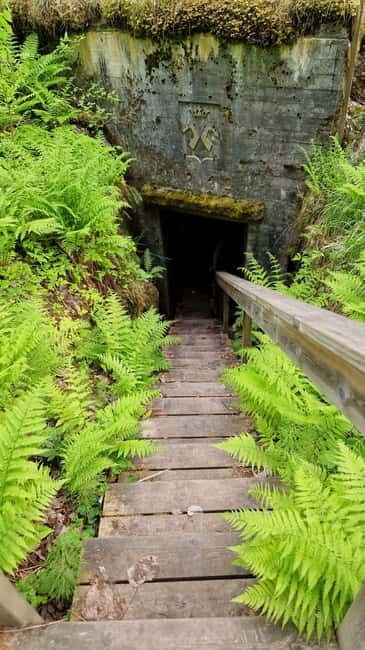 Lappeenranta: Salpalinja Defense Line WW2 Bunker Tour - The Sum Up