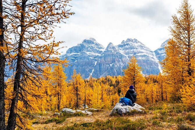 Larch Valley/Moraine Lake Shuttle Transfer from Banff and Canmore - An In-Depth Look at the Experience