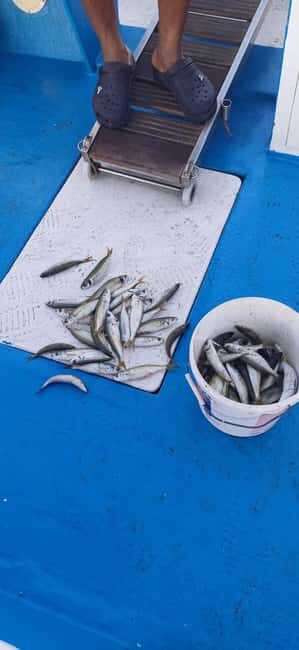 Larnaca: Private Fishing - Traditional Explorer N Vessel - An Authentic and Relaxing Fishing Adventure