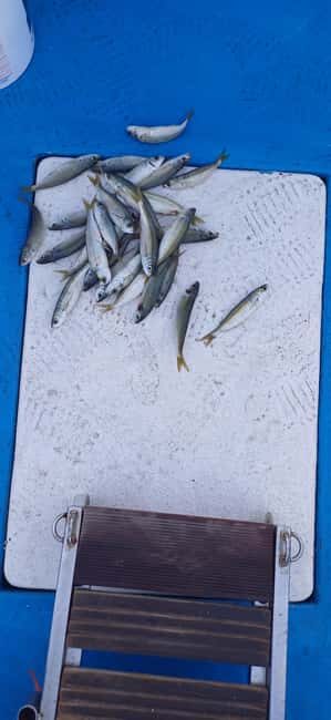 Larnaca: Private Fishing - Traditional Explorer N Vessel - What Makes This Trip Special?