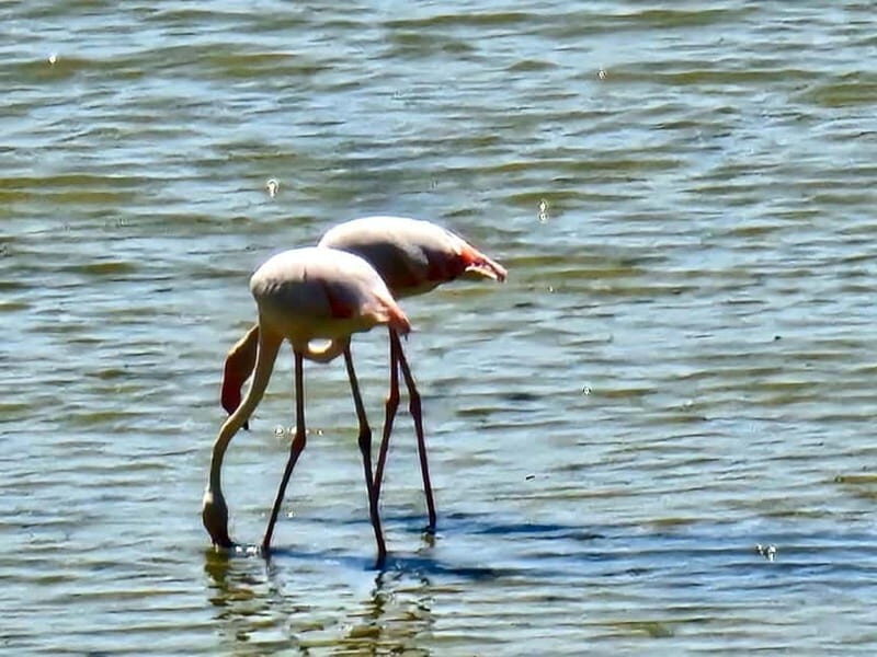 Larnaca: private guide to explore the Top-Sightseeings - Final Thoughts