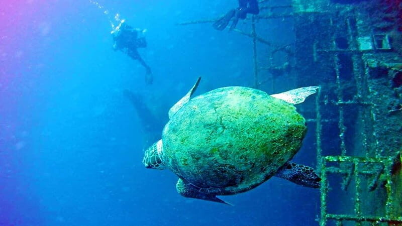 Larnaca: Private Zenobia Beginners Divers - A Closer Look at What to Expect