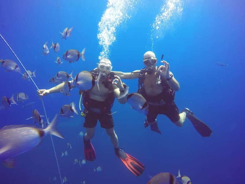 Larnaca: Private Zenobia Beginners Divers - Why This Tour Might Be Perfect for You