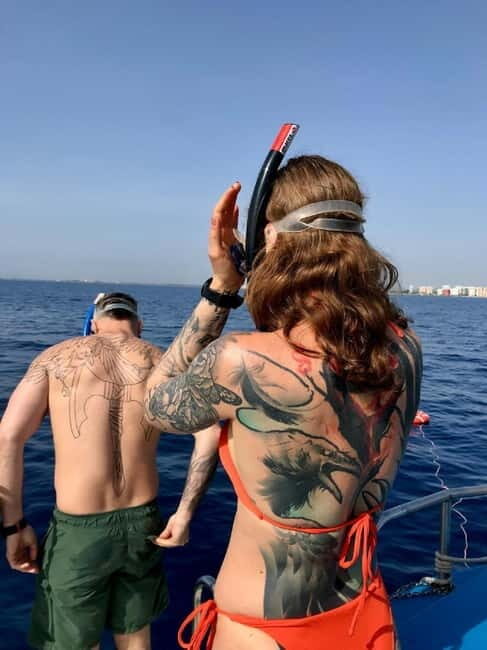 Larnaca: Snorkelling Zenobia Wreck Plus Mini Cruise - Key Points