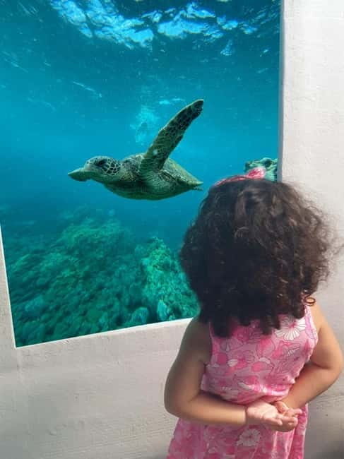 Larnaca: Yellow Submarine Swim Cruise with Unlimited Drinks - Key Points