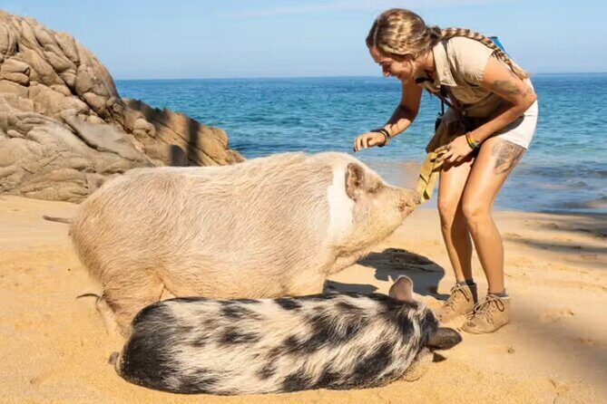 Las Caletas The Best Kept Secret of Puerto Vallarta - Final Summary