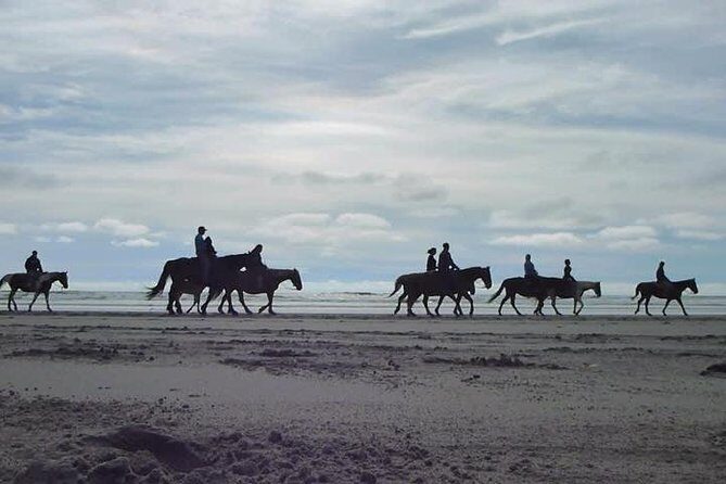 Las cañadas ecopark and horseback riding private tour - Exploring the Itinerary in Detail