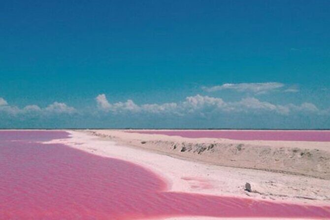 Las Coloradas Amazing Pink Lake & Rio Lagartos from Tulum - Authentic Experiences and Honest Impressions