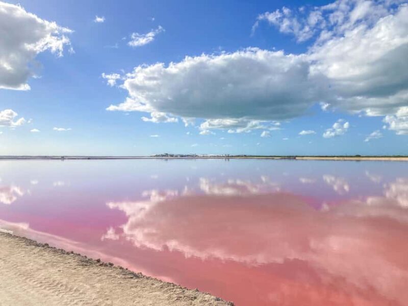 Las Coloradas and Ría Lagartos - Authentic Experiences and Real Traveler Insights