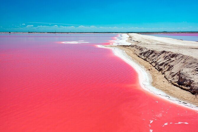Las Coloradas and Rio Lagartos Tour with All Inclusive - Key Points