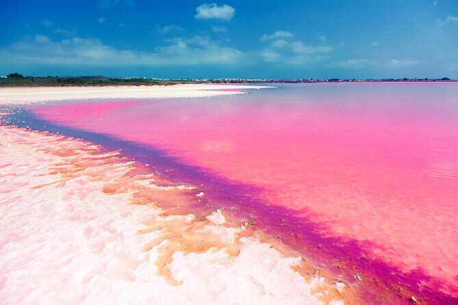 Las Coloradas and Rio Lagartos Tour with All Inclusive - The Sum Up