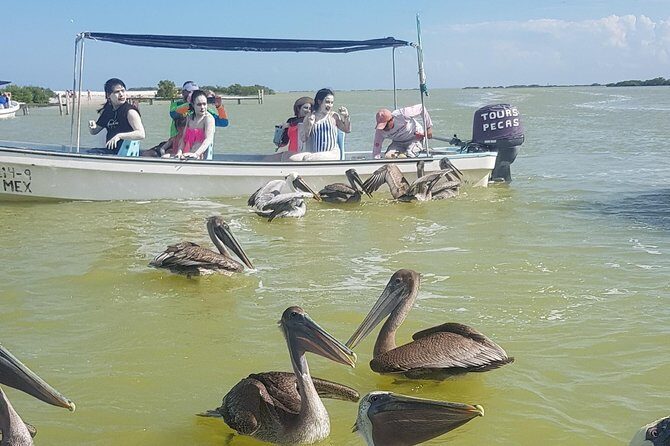 Las Coloradas - Who Is This Tour Best For?