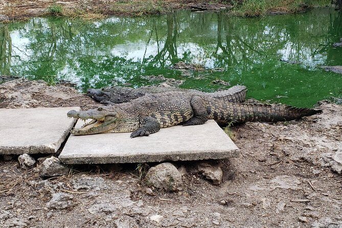 Las Coloradas - Final Thoughts