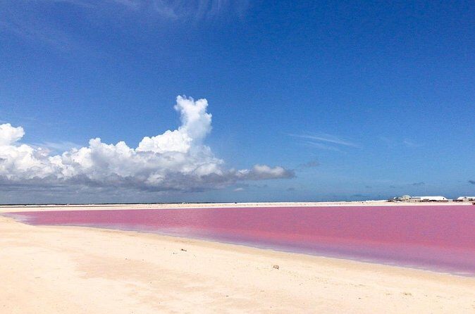 Las Coloradas Exploring Tour - FAQ