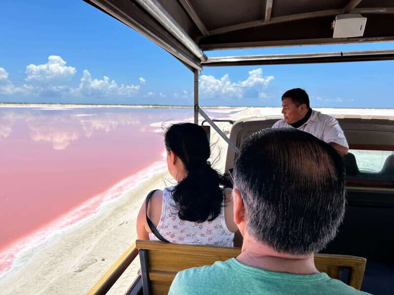 Las Coloradas: Pink Lakes Safari Tour - Authentic Experiences and Honest Feedback
